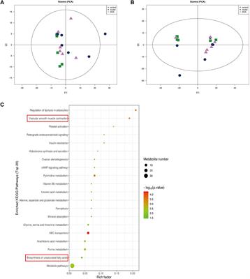 Inhibitory Effect of Dihydroartemisinin on the Proliferation and Migration of Melanoma Cells and Experimental Lung Metastasis From Melanoma in Mice